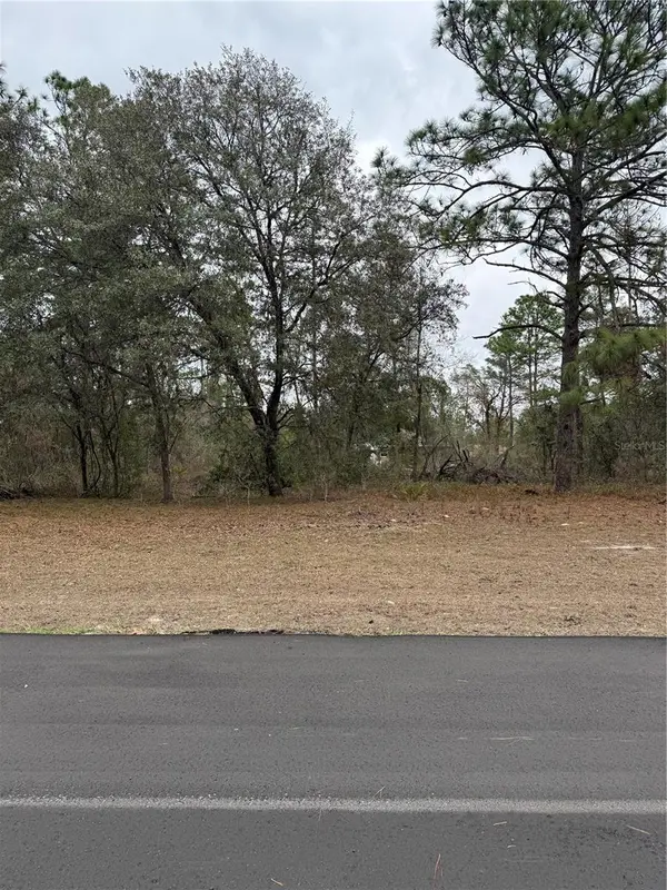 SW 135TH LOOP, Ocala, FL 34473