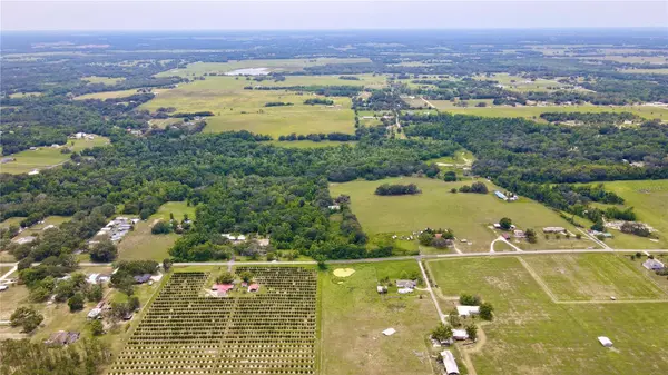 14409 CURLEY RD, Dade City, FL 33525