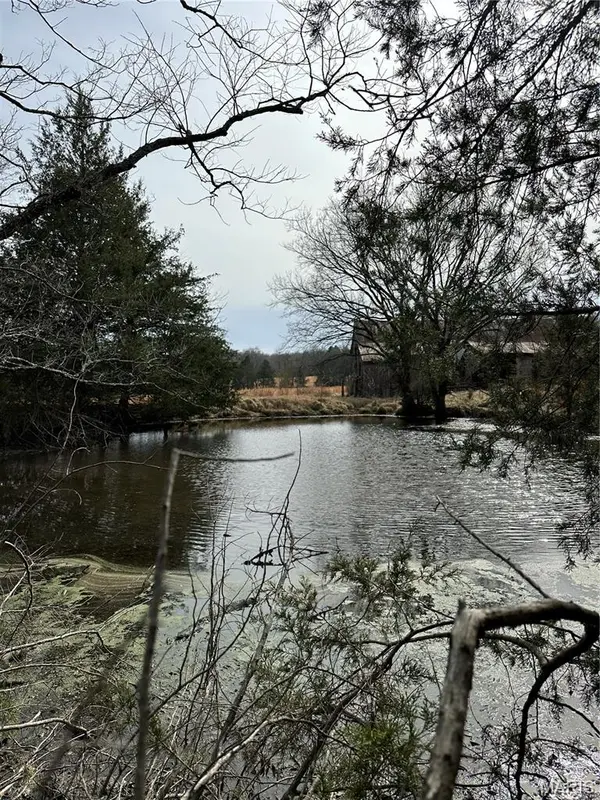 TBD Upper Janes Creek Road, Ravenden, AR 72459
