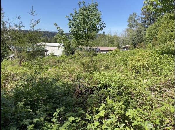 0 LOT State Route 3, Belfair, WA 98528