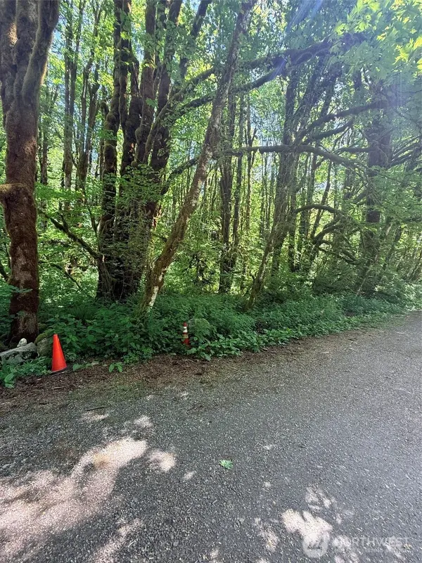 10204 Foss River PL NE, Skykomish, WA 98288
