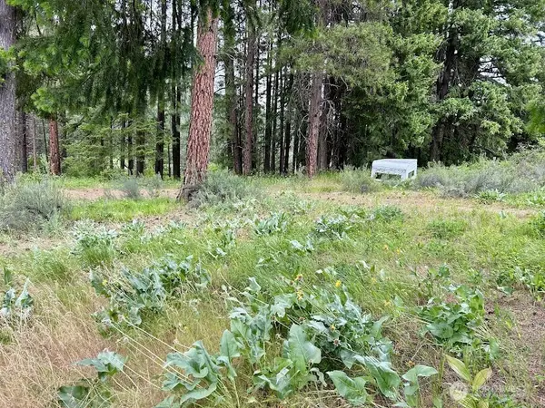 15425 Chumstick HWY, Leavenworth, WA 98826