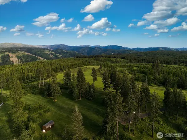 1335 Payne Hollow RD, Dayton, WA 99328
