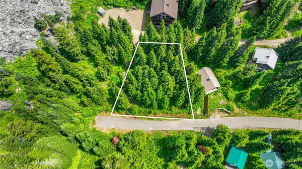 30 Saint Anton, Snoqualmie Pass, WA 98068