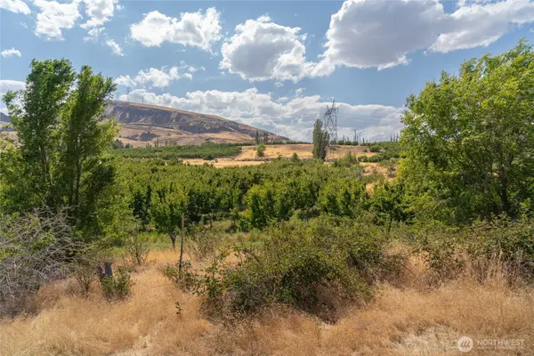 7199 Lot 6 Tarpiscan RD, Malaga, WA 98828