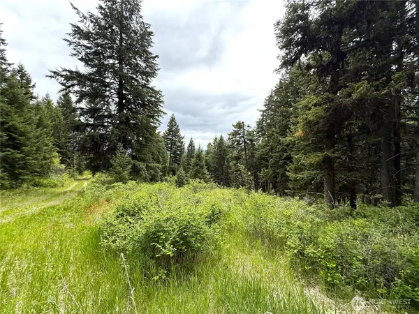 0 Pontiac Ridge RD, Oroville, WA 98844
