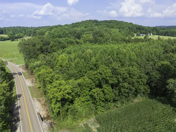 0 Highway 100 E, Decaturville, TN 38329