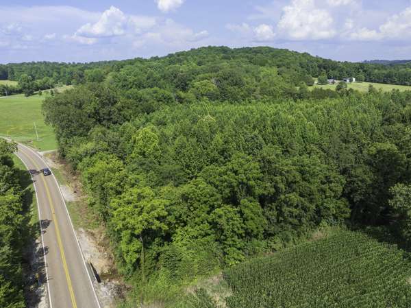 0 Highway 100 E, Decaturville, TN 38329