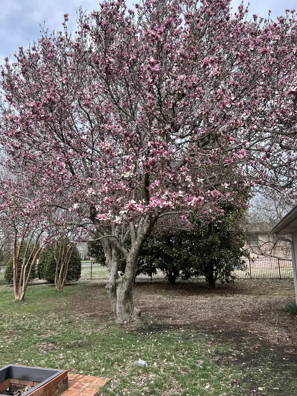 1814 Avon Rd, Murfreesboro, TN 37129