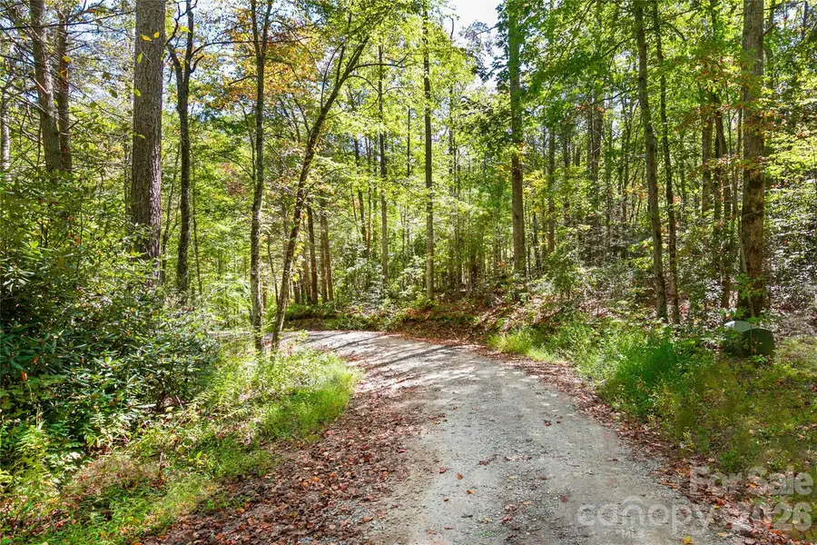 14 Johnny Farm RD, Black Mountain, NC 28711