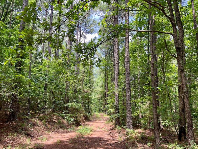 60 Trout Creek RD, Watson, OK 74963
