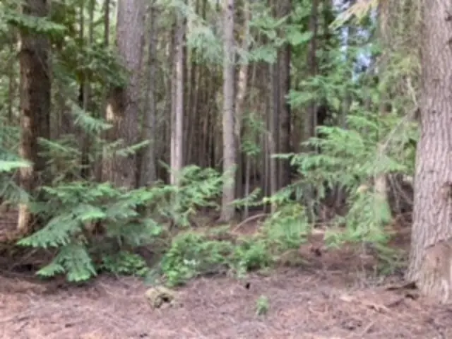 Nka. Leslie Creek Rd, Chewelah, WA 99109