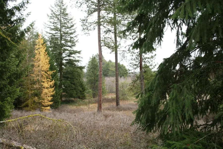 00 Dahl Lot 7 Rd #Lot 7, Deer Park, WA 99006