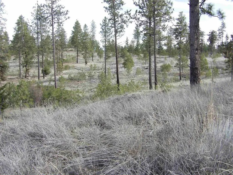 Lot 2 Pine Hen Ln, Davenport, WA 99122