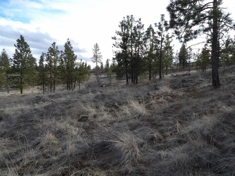 Tract E Meadow Lane Rd, Davenport, WA 99122