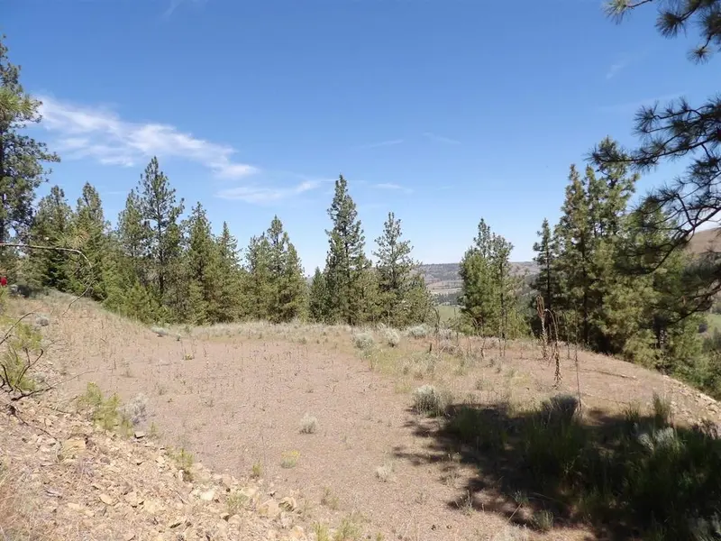 Lot 2 Chukar Short Plat Ln, Davenport, WA 99122
