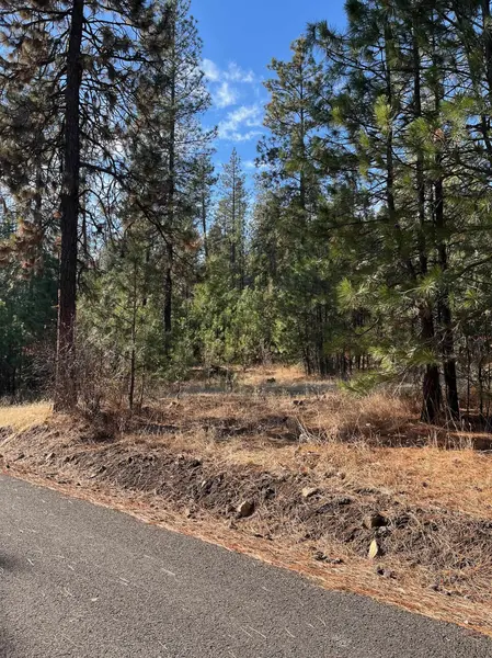 Lot 2 Wapiti Bobwhite Ln, Davenport, WA 99122