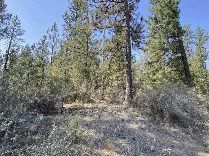 5xxx WA 291 Hwy, Nine Mile Falls, WA 99026