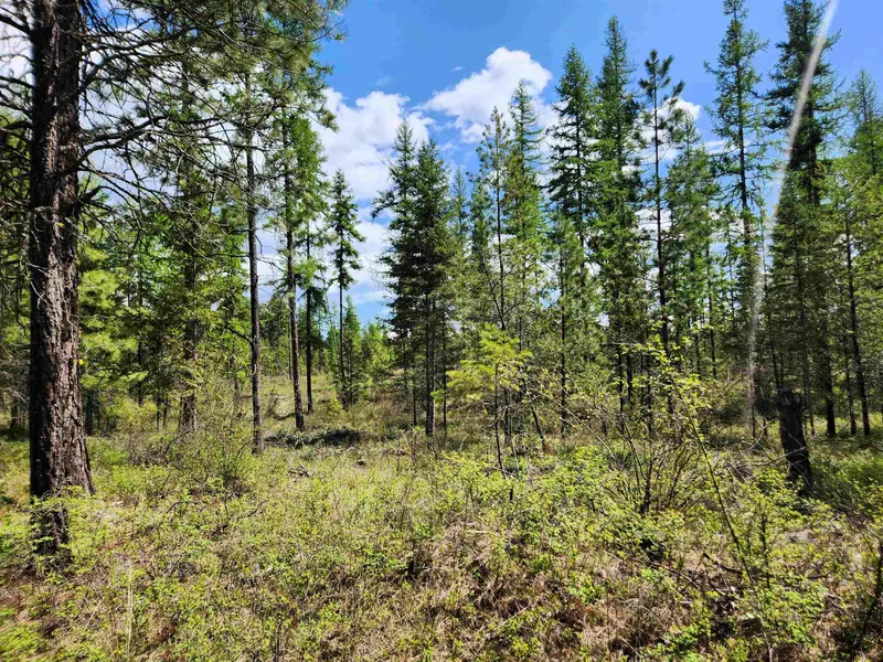 3669 E Jump Off Joe Rd, Valley, WA 99181
