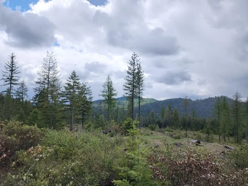 33XX Veit Rd, Newport, WA 99156-0000