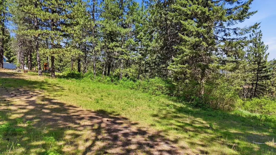 12703 S Alpine Fern Rd, Rockford, WA 99030