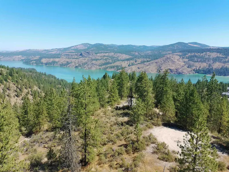 Lot 24 E Timberbay Dr #Lot 24 Timberbay Dr E, Davenport, WA 99122
