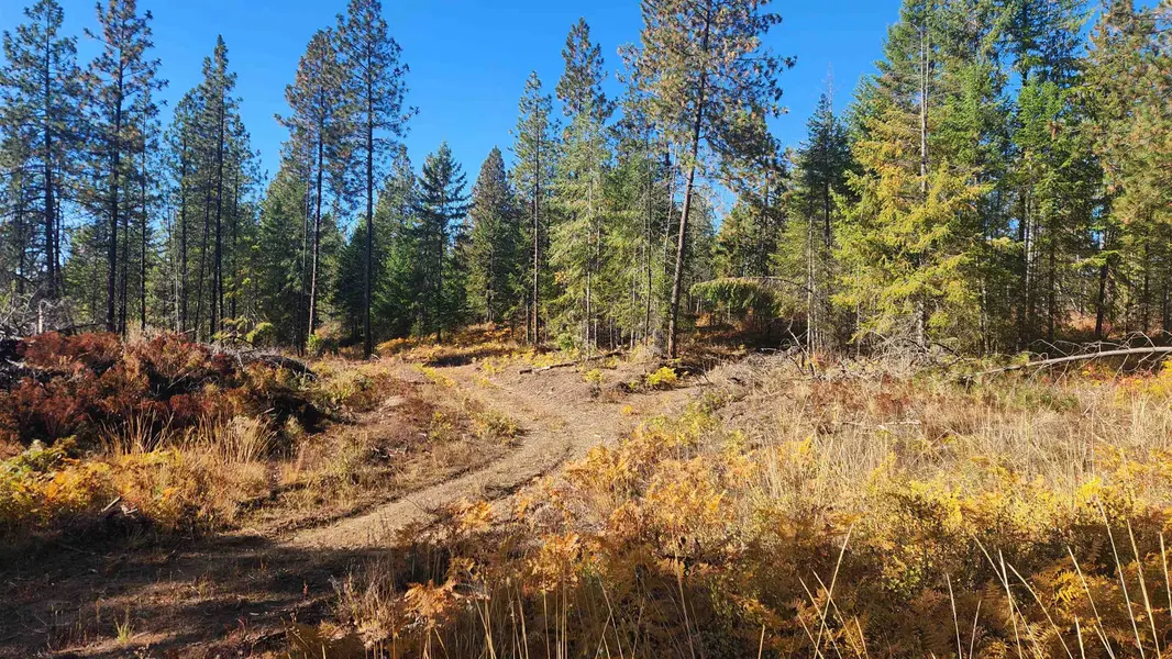 43xx Lyons Hill Rd, Springdale, WA 99173