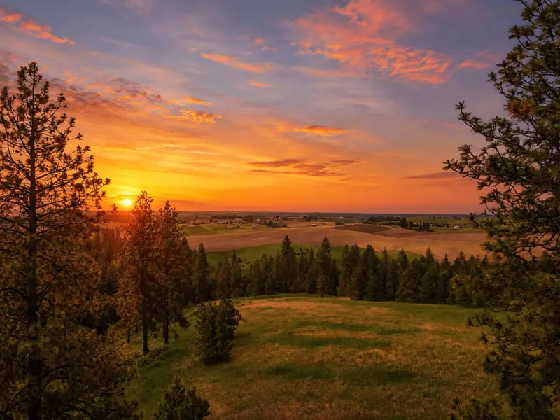 9630 S Sands Rd, Valleyford, WA 99036