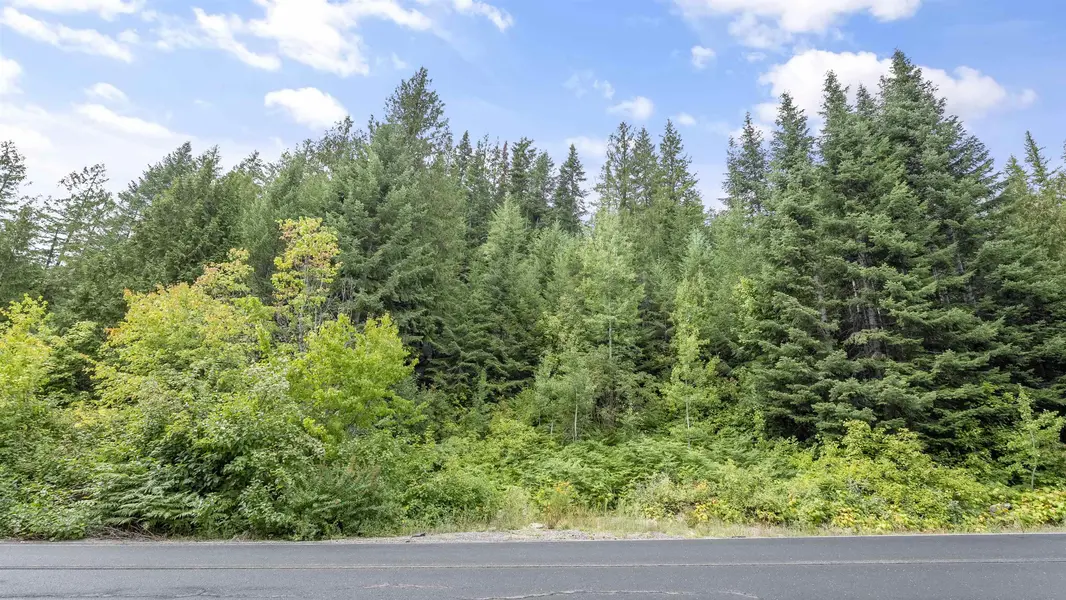 234XX N Mt Spokane Park Dr, Mead, WA 99021