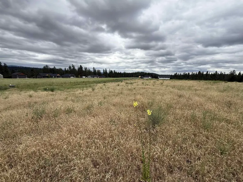 4207 E Molly Jean Ln, Chattaroy, WA 99003