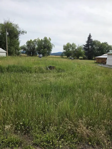 NKA Winchester St, Cusick, WA 99119