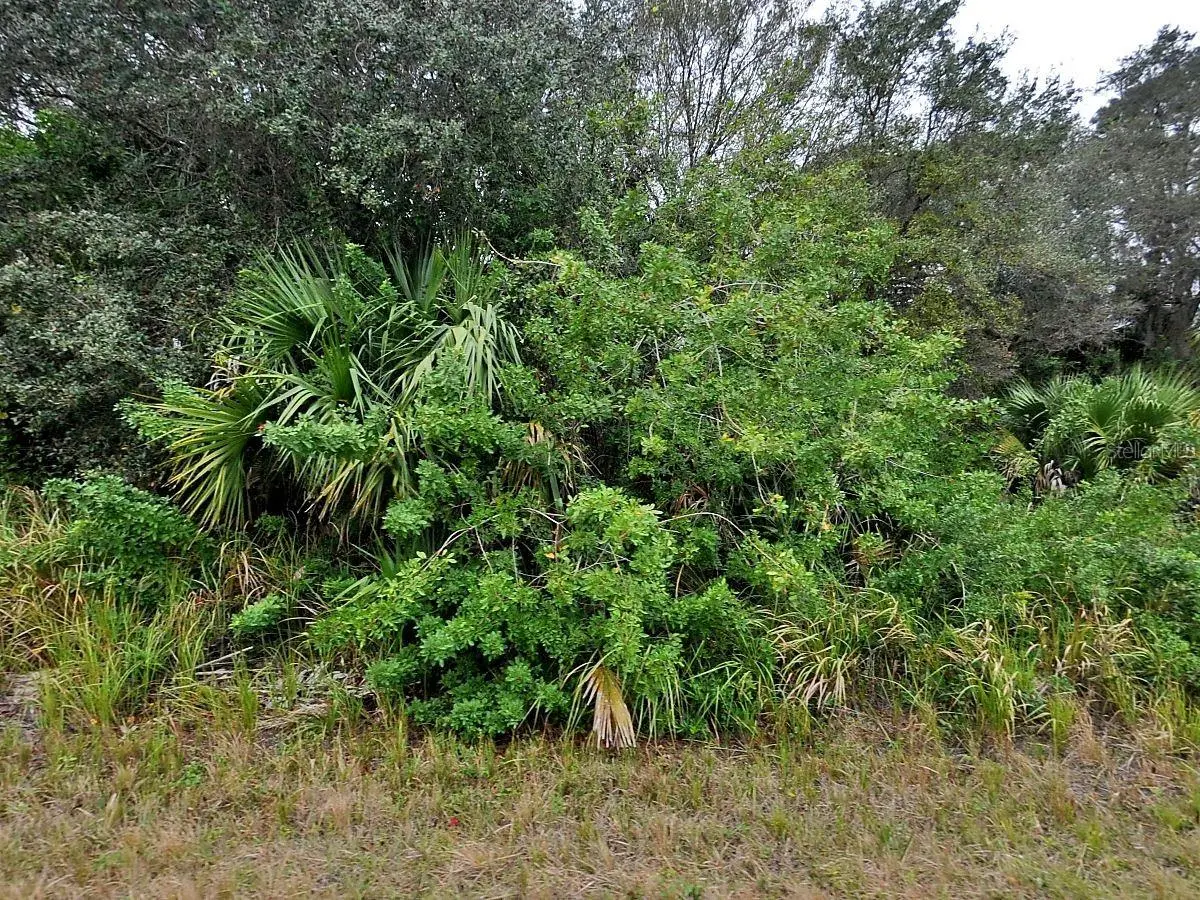 BREWSTER LOT #8 RD, North Port, FL 34288