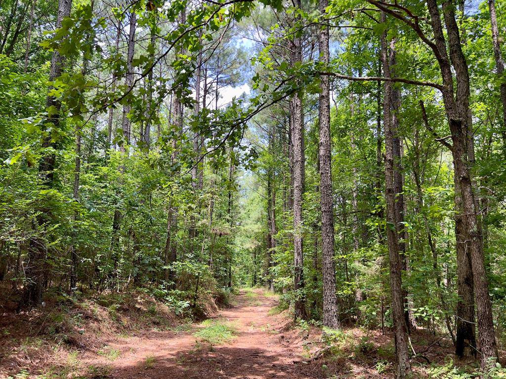 60 Trout Creek RD, Watson, OK 74963