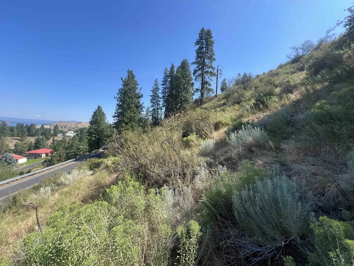 XXX E Seven Bays Rd, Lincoln, WA 99147