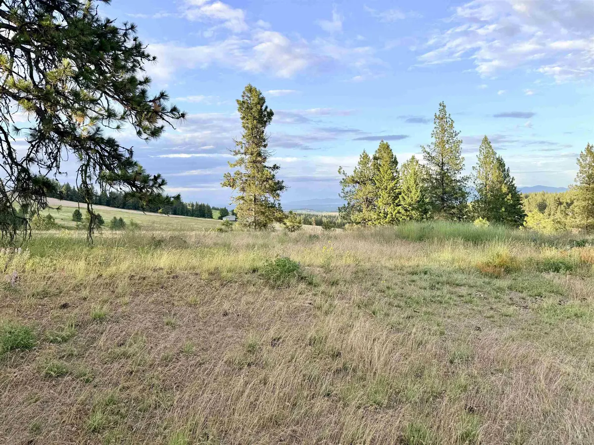15000 N Brannon Ln #Site 87 - 15xxx N Brannon, Spokane, WA 99208