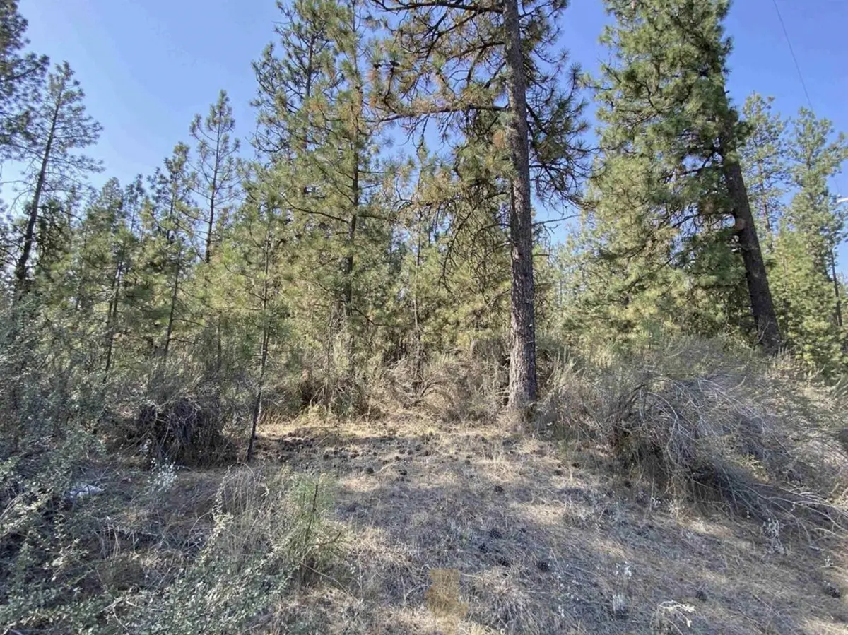 5xxx WA 291 Hwy, Nine Mile Falls, WA 99026