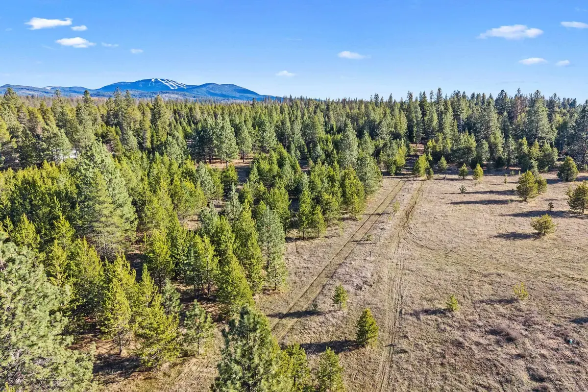 12818 E Bridges Rd, Elk, WA 99009-9696