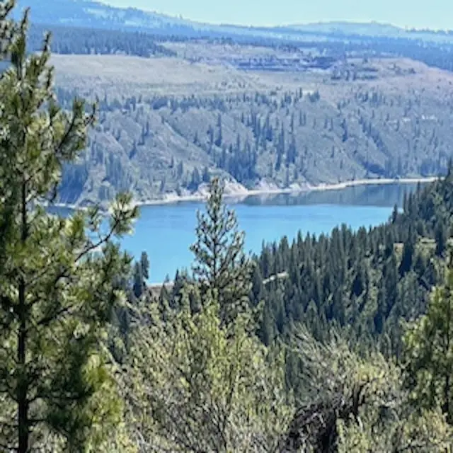 Lot 17 Bighorn Dr, Davenport, WA 99122
