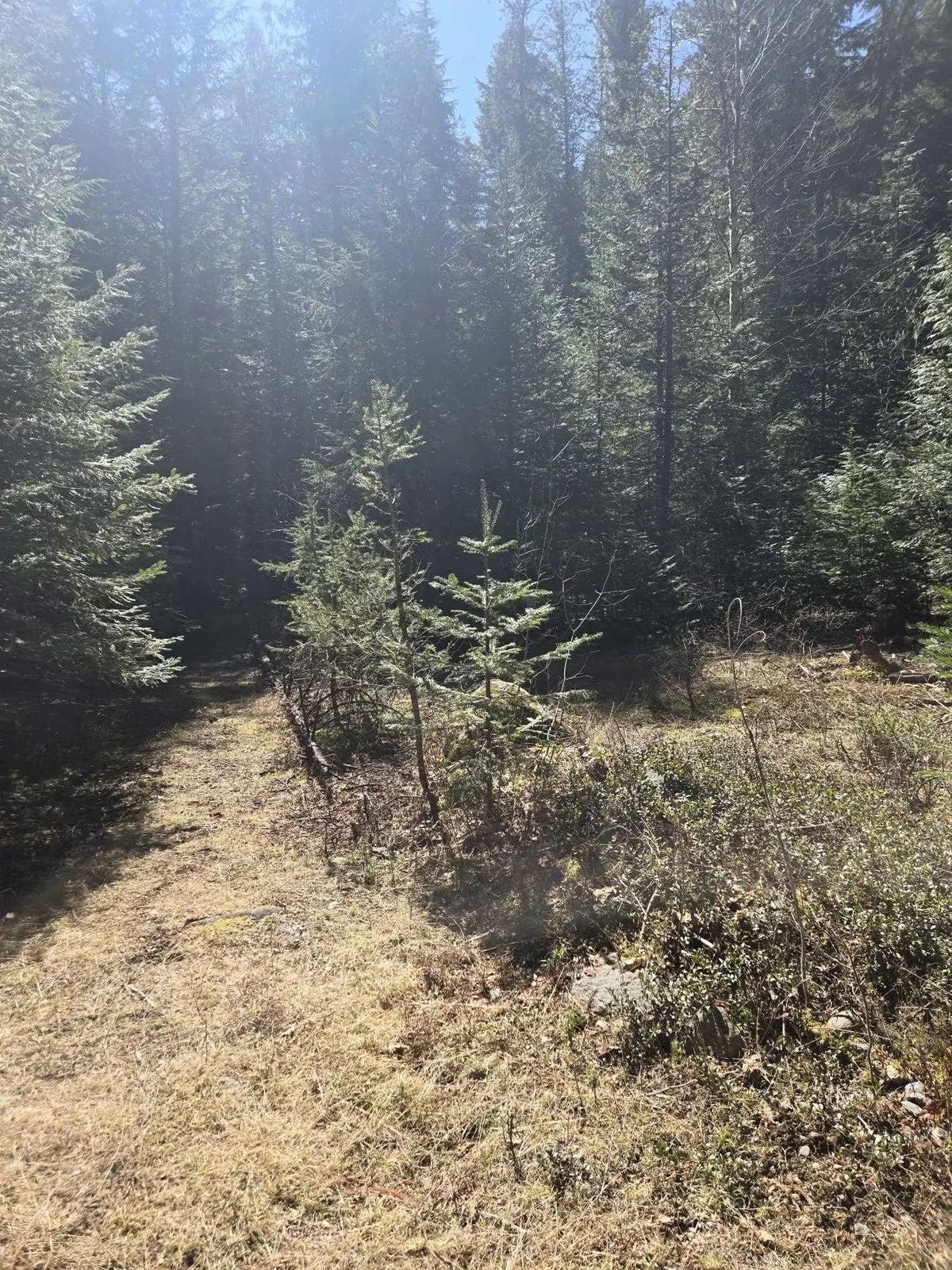 192 Meadowlark Ln, Cusick, WA 99119