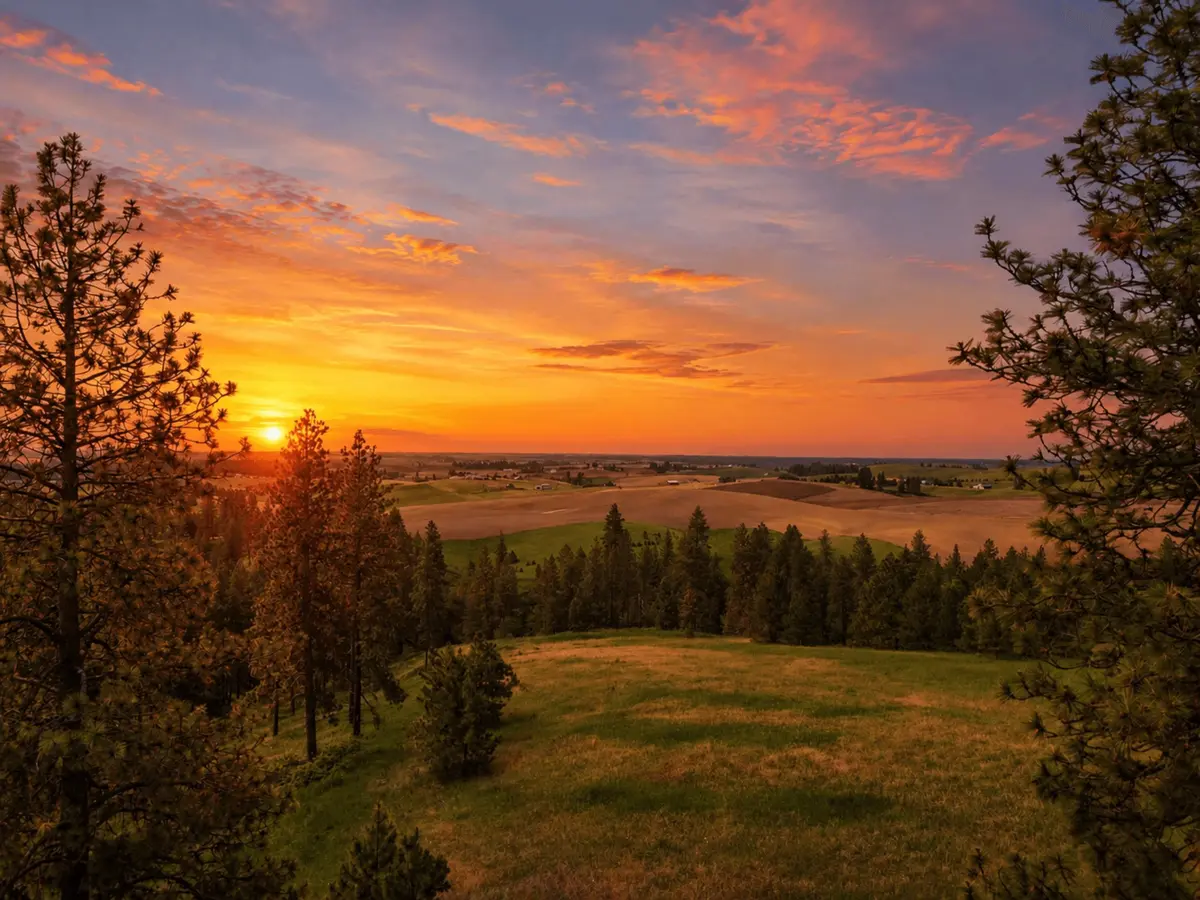 9630 S Sands Rd, Valleyford, WA 99036