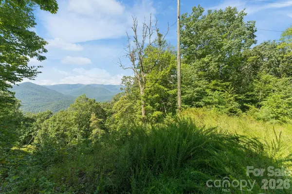 80 Breezewood DR, Bryson City, NC 28713