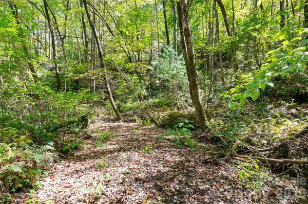 14 Johnny Farm RD, Black Mountain, NC 28711