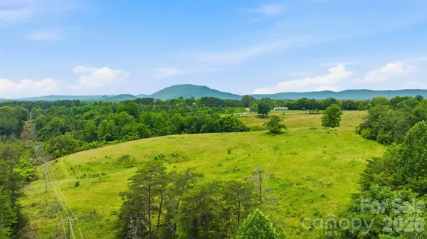 536 Pea Ridge RD, Mill Spring, NC 28756