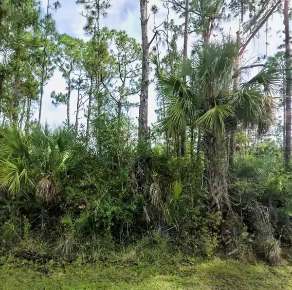 Lot 17 DONATELLO AVE, North Port, FL 34286