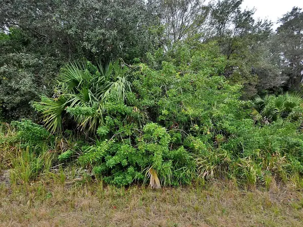 BREWSTER LOT #8 RD, North Port, FL 34288