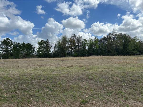 NW 104TH TER, Alachua, FL 32615
