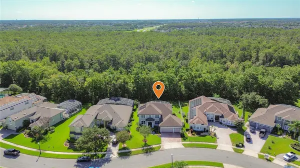 14632 BRADDOCK OAK DR, Orlando, FL 32837