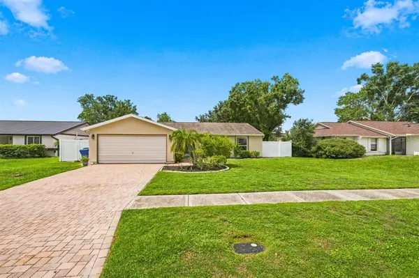 5309 BLACK PINE DR, Tampa, FL 33624
