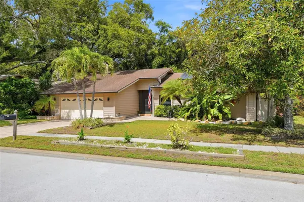 4733 LAKE VALENCIA BLVD W, Palm Harbor, FL 34684