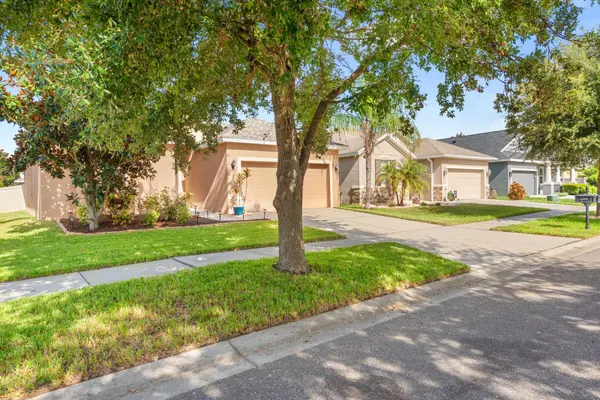 12009 RAMBLING STREAM, Riverview, FL 33569